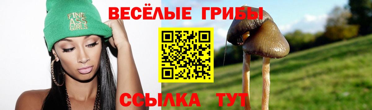 Качканар  Псилоцибиновые грибы Cubensis  Псилоцибиновые грибы Psilocybe  Вход с VPN 